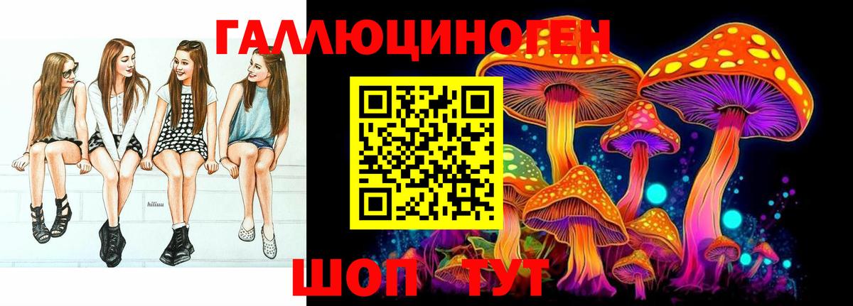 Кизляр  Псилоцибиновые грибы мицелий  Вход с VPN 