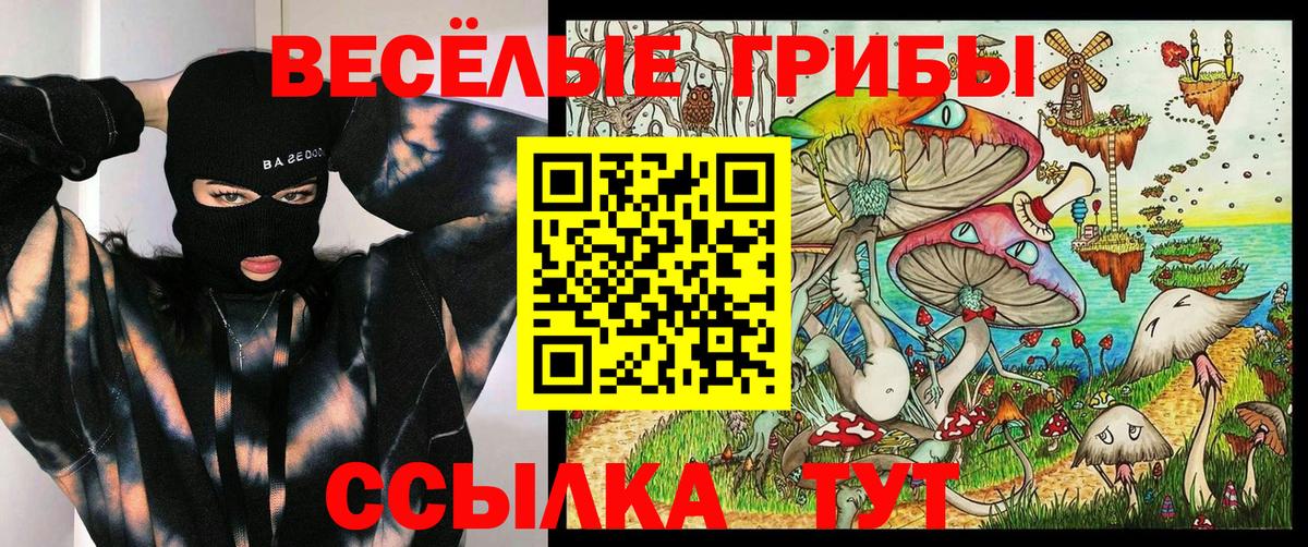Псилоцибиновые грибы мухоморы Кизляр